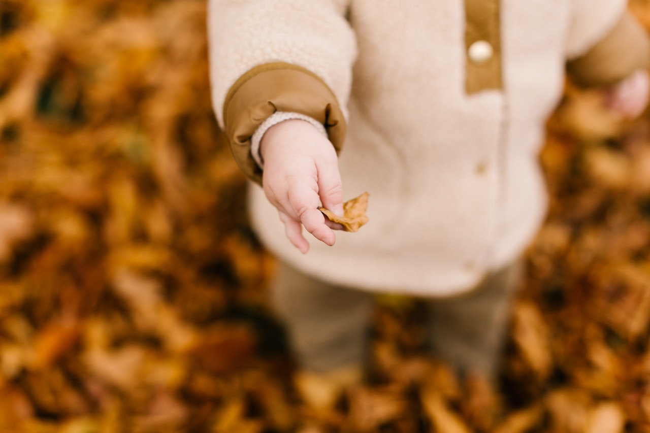 An Autumn Activity: Leaf Rubbings